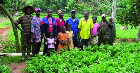 Une famille de maraîchers à Nkolondom, au Cameroun