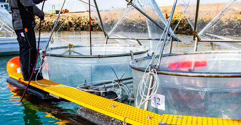 Un chercheur effectue des prélèvements à Helgoland (Allemagne) dans le cadre d'une étude sur l'effet d'une augmentation de l'alcalinité océanique sur le plancton de la mer du Nord.
