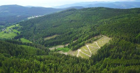 vue aérienne de forêt