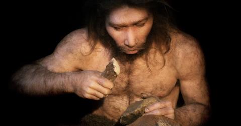 Homo Néanderthalensis