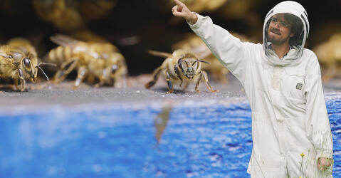 cognition | CNRS Le journal