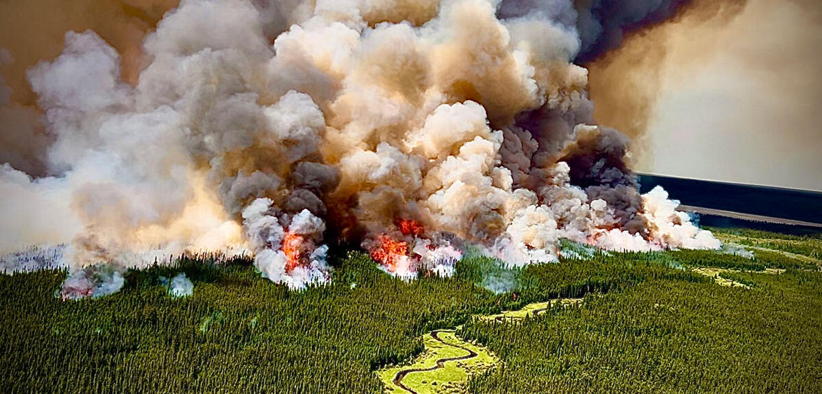 La science face aux incendies