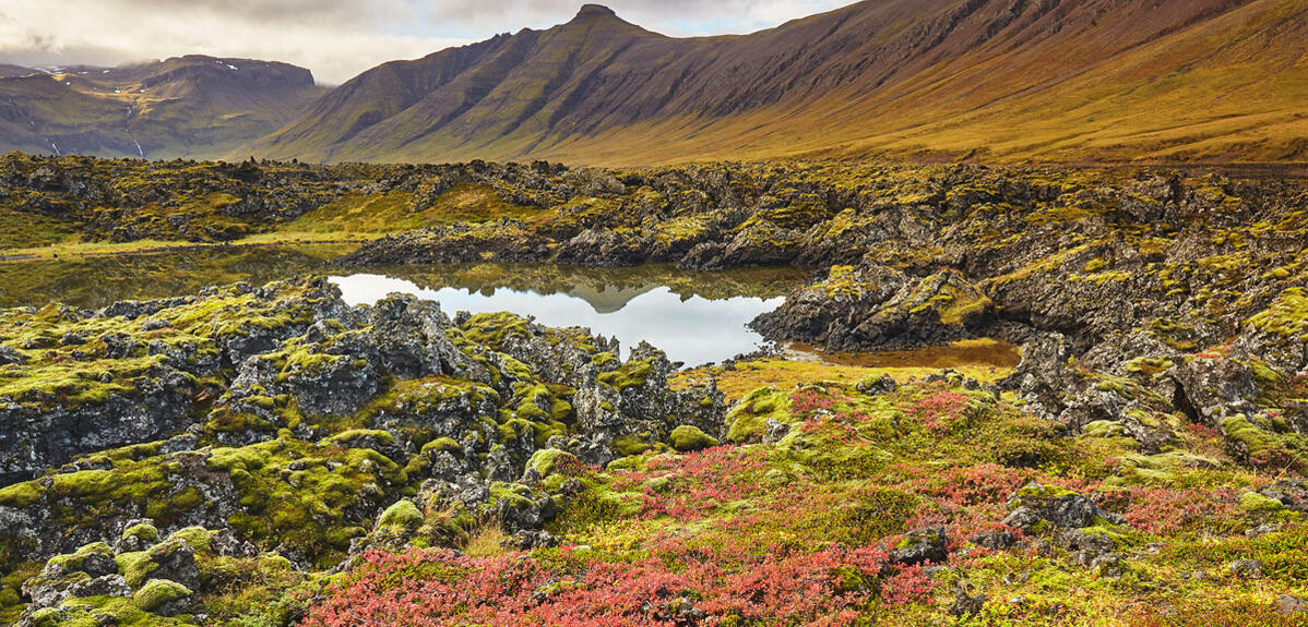 Paysage d’Islande © Robert Hardin / Hemis.fr