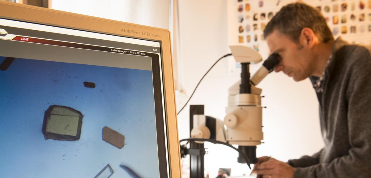 Sélection de cristaux sous une loupe pour une expérience de diffraction.