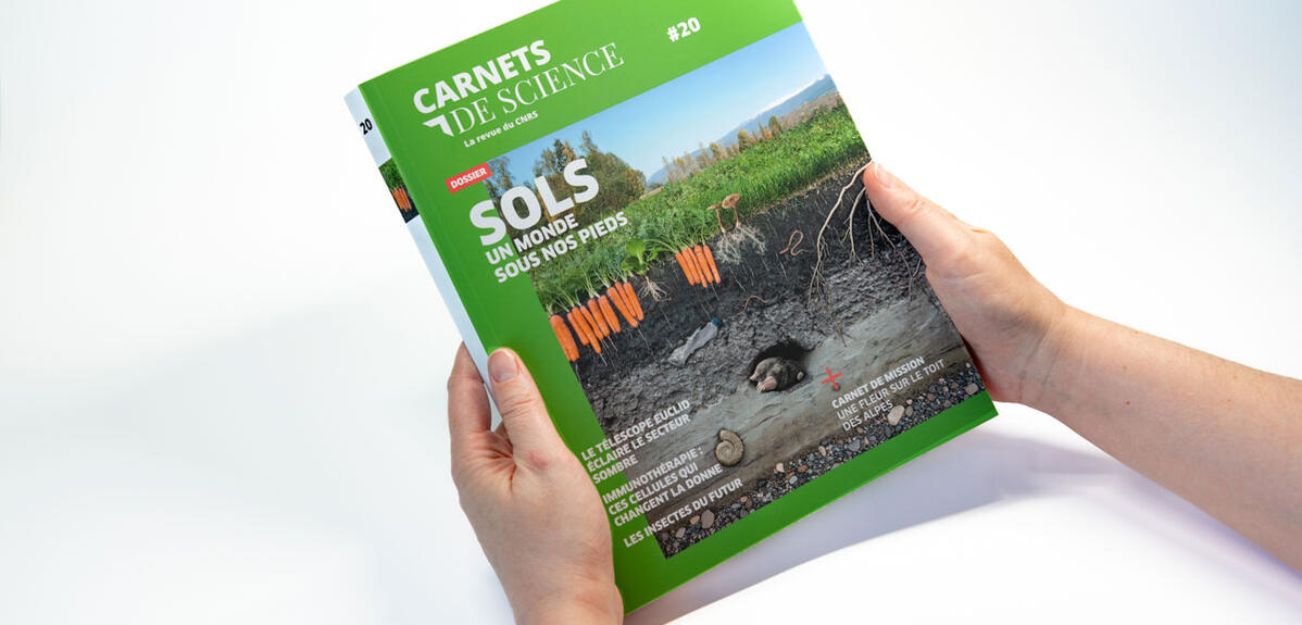 Carnets de science #20 : Sols, un monde sous nos pieds