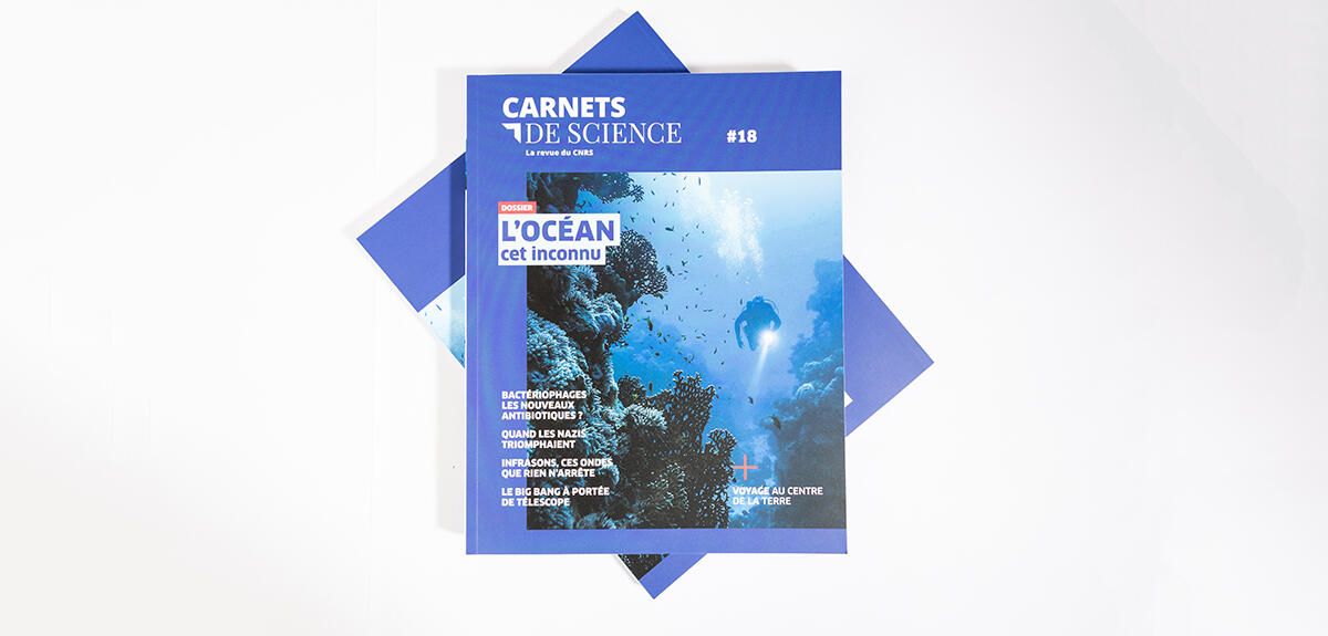©Cyril Frésillon/CNRS images