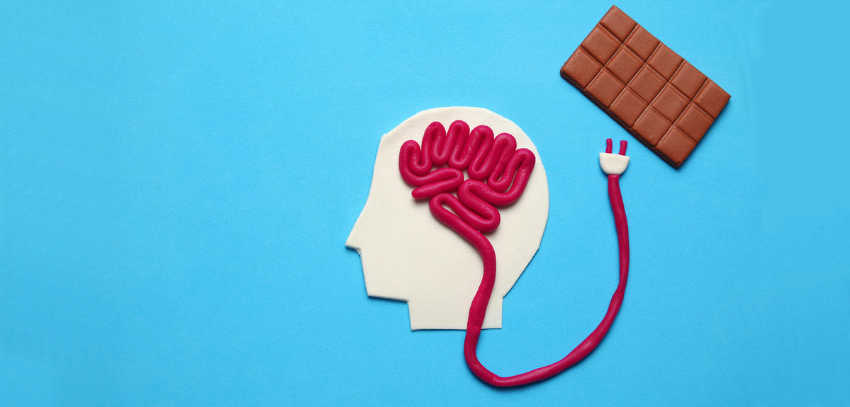 Comment le cerveau gère notre appétit | CNRS Le journal