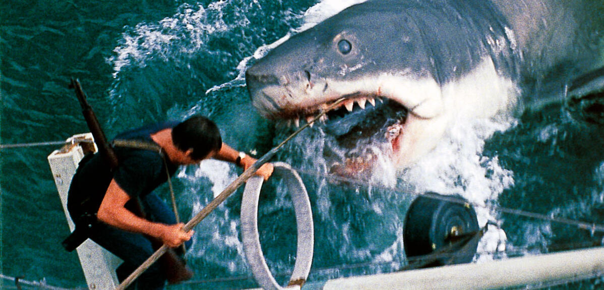 Image du film montrant le requin attaquant le bateau et le héros Martin Brody (Jaws, de S. Spielberg, 1975) © Universal - Zanuck-Brown / Collection ChristopheL