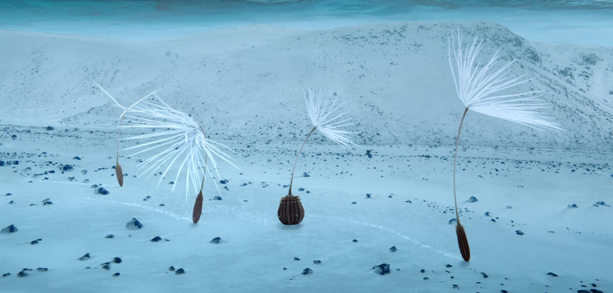 extrait de Planètes, 2025 © Momoko Seto