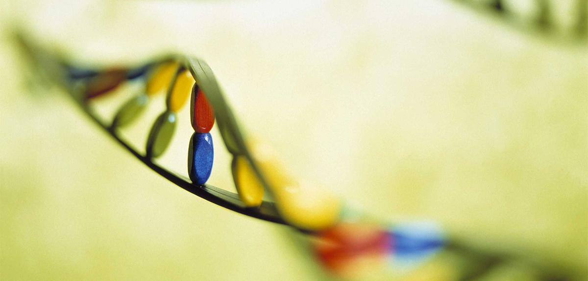 Médecine prédictive, hélices d’ADN