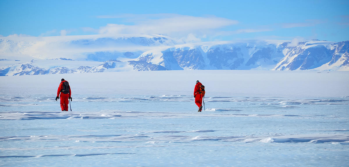 image antarctique