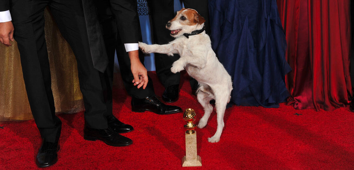 Uggie, le chien du film « The Artist »