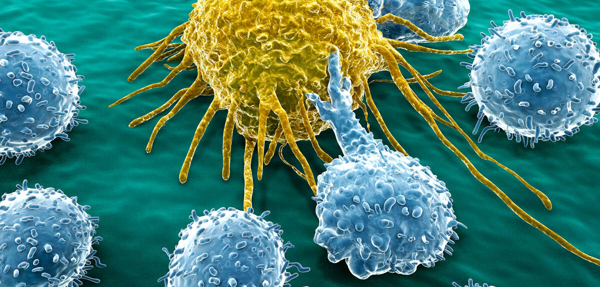 Lymphocytes attaquant une cellule cancéreuse