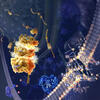 Illustration de la ferroptose © Nicolle R. Fuller / Science Photo Library