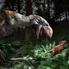 Gastornis gigantea  © Jaime Chirinos / SPL