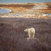 ©Andreas Edelmann /Stock.Adobe.com