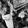 Des responsables soviétiques confisquent des céréales à une famille paysanne en Ukraine. En 1932-1933, l’Holodomor fut une famine provoquée par Staline ©akg-images/Pictures From History 