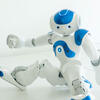 ©Frédéric Maligne / MSH Toulouse / CNRS Images Le robot Nao © Frédéric MALIGNE/MSH Toulouse/CNRS Images