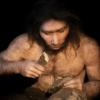Homo Néanderthalensis